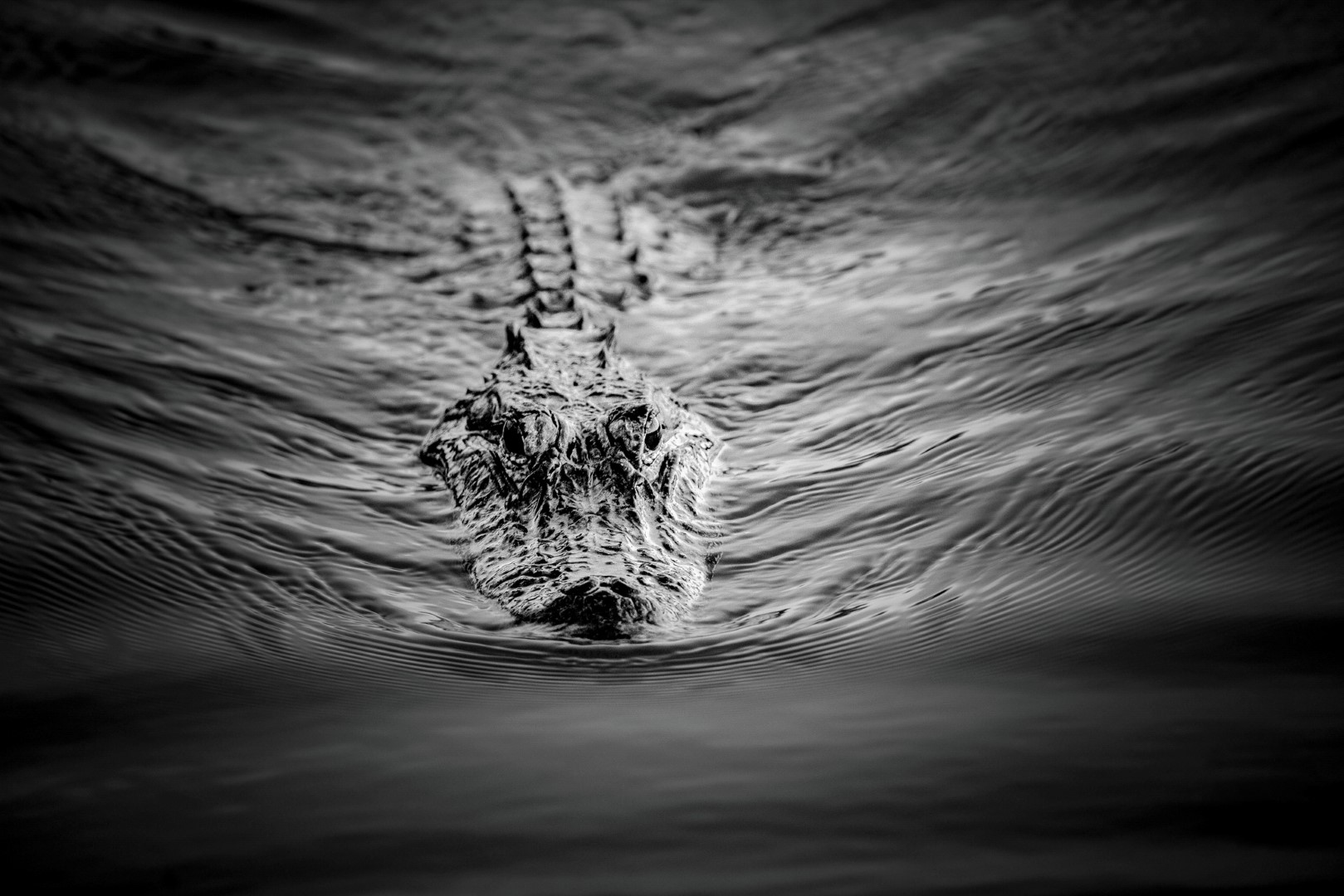 On Step