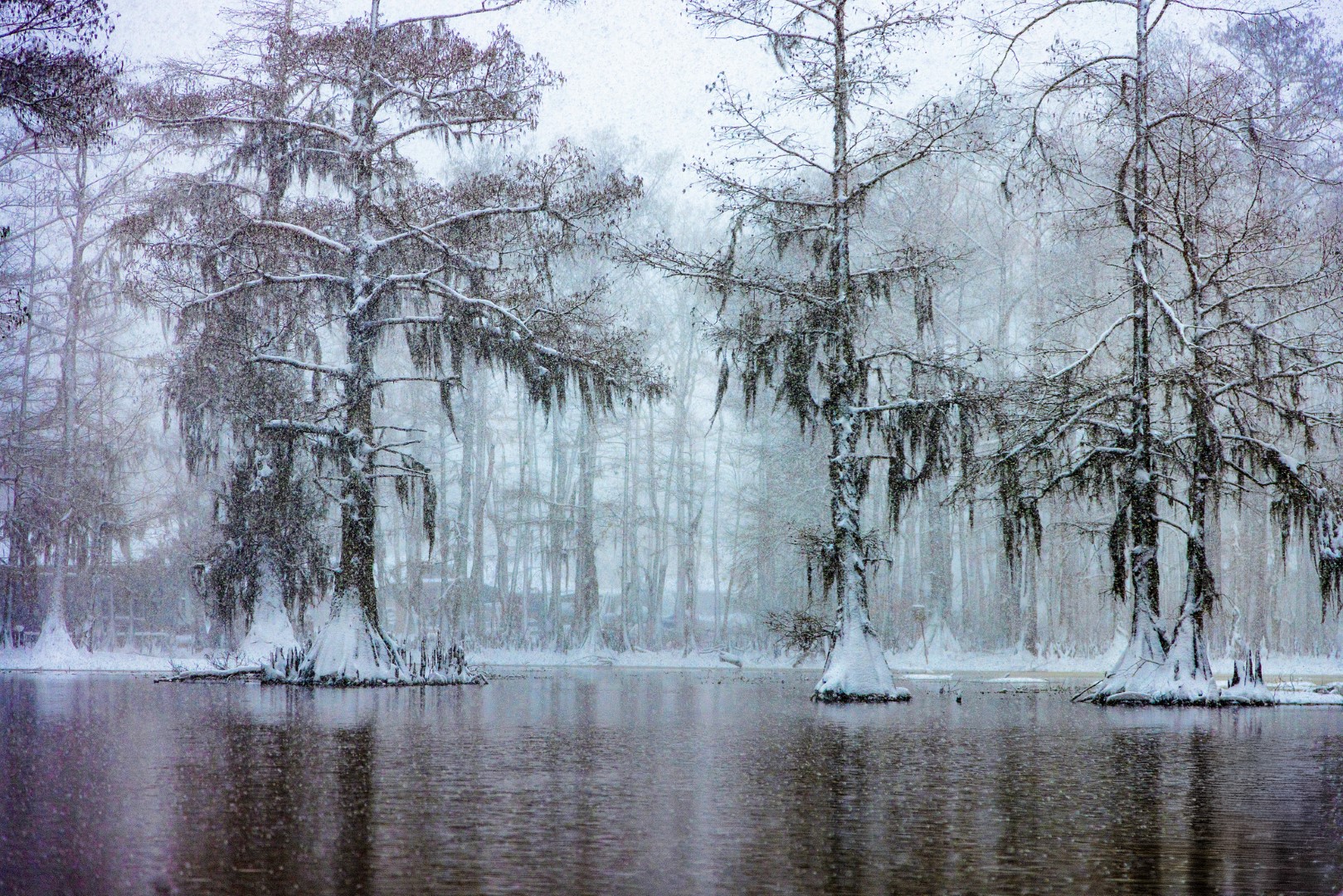 Snowy Paradise