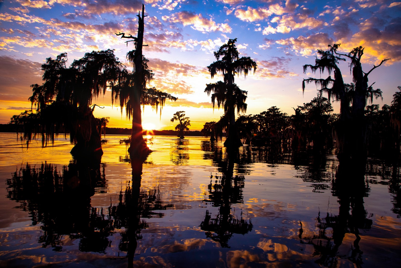 Sunset over cypress trees in water