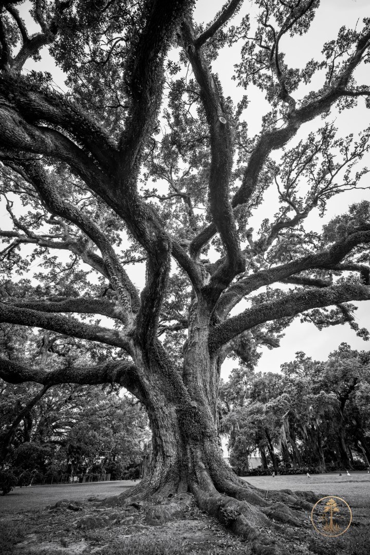 Gallery 2026 selected work 10