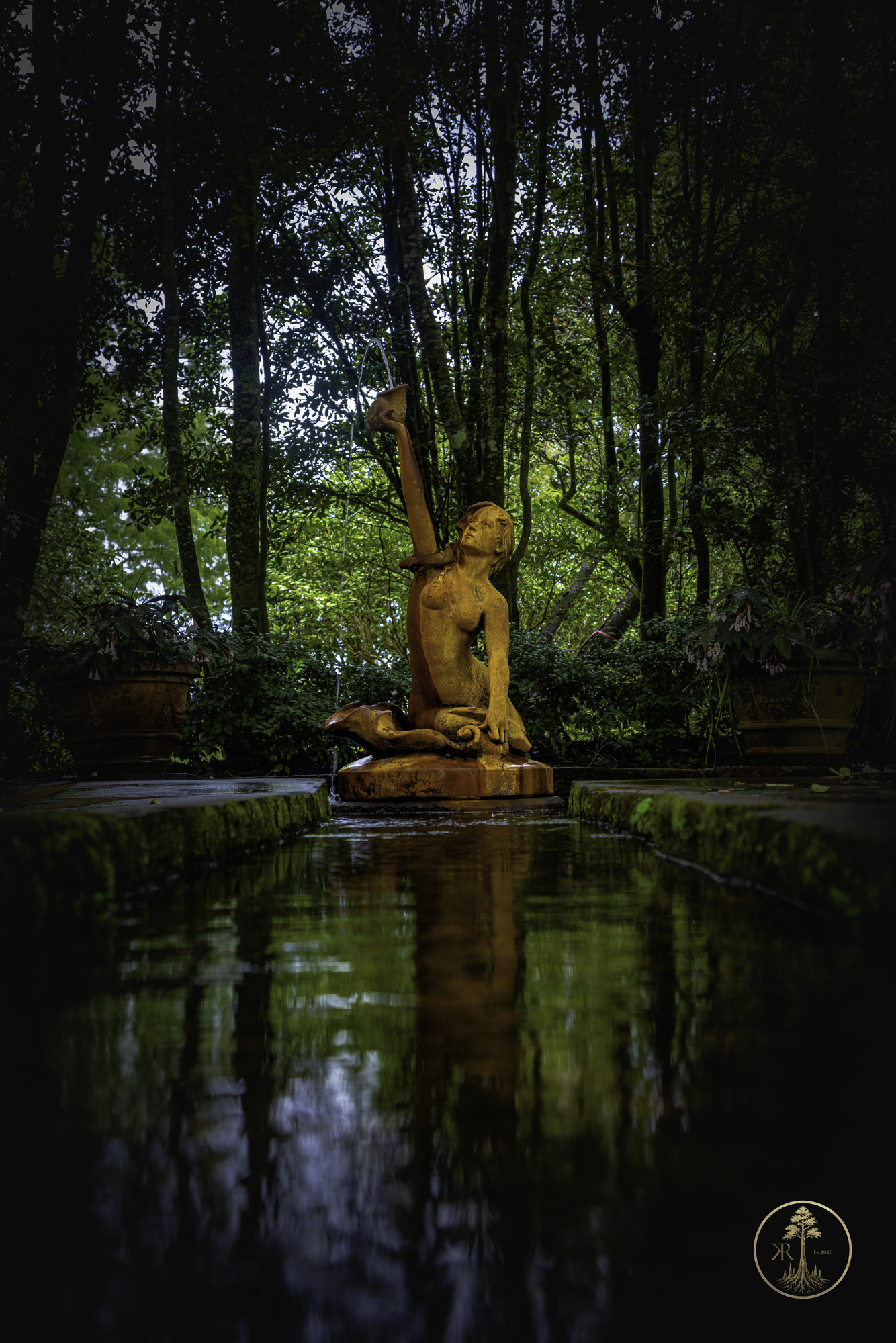 Open Gallery 00086
